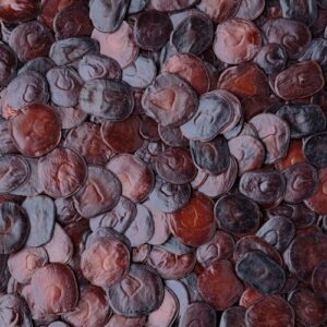 “Cebil frø (Anadenanthera colubrina) – naturlige etnobotaniske frø fra Sydamerika med hård skal og autentisk oprindelse”